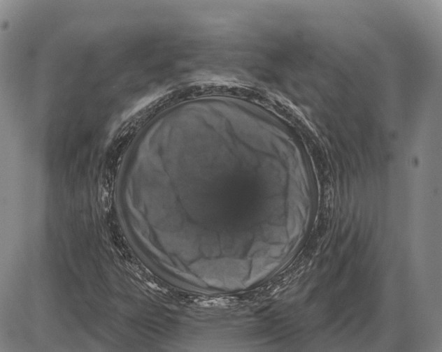 X0000085081303200704021426