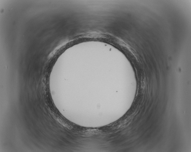 X0000085081304200704021426