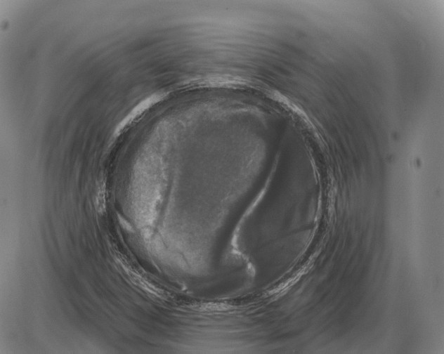 X0000085081306200704021426