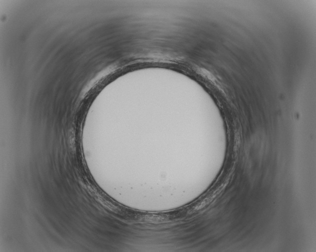 X0000085081307200704021426