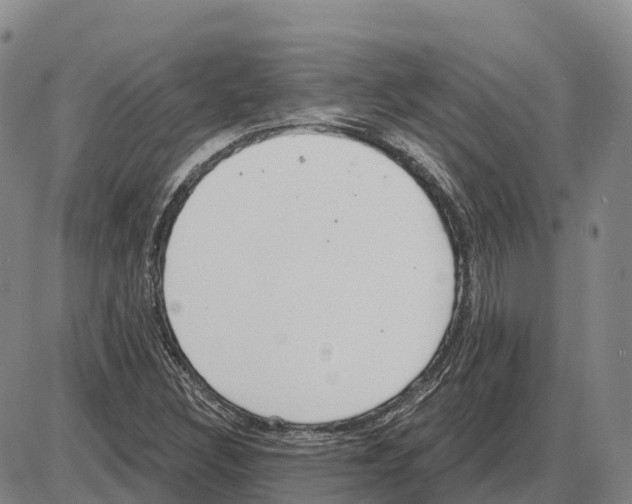 X0000085081308200704021426