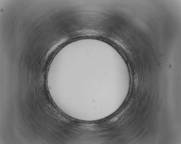 X0000085081309200704021426