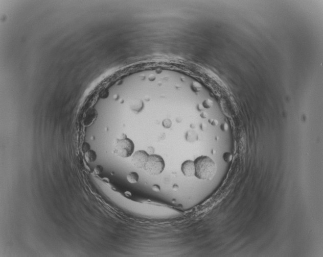 X0000085081310200704021426