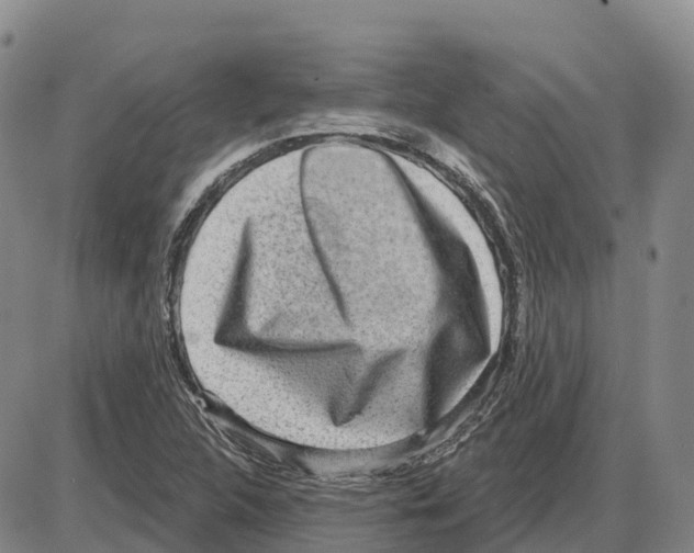 X0000085081312200704021426