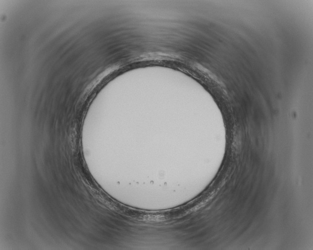 X0000085081313200704021426