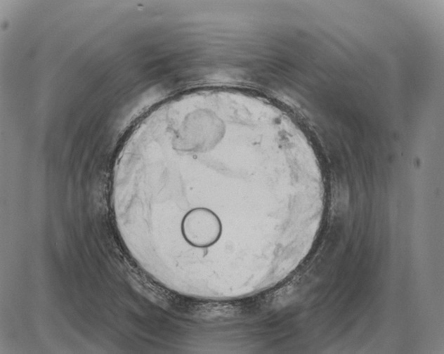 X0000085081314200704021426