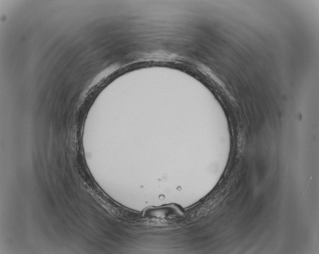 X0000085081315200704021426