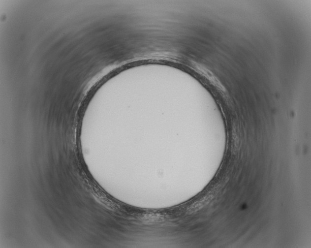 X0000085081316200704021426