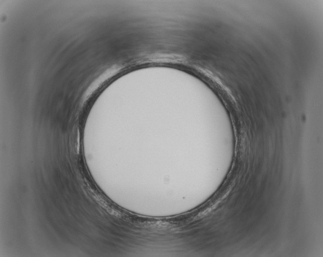 X0000085081317200704021426