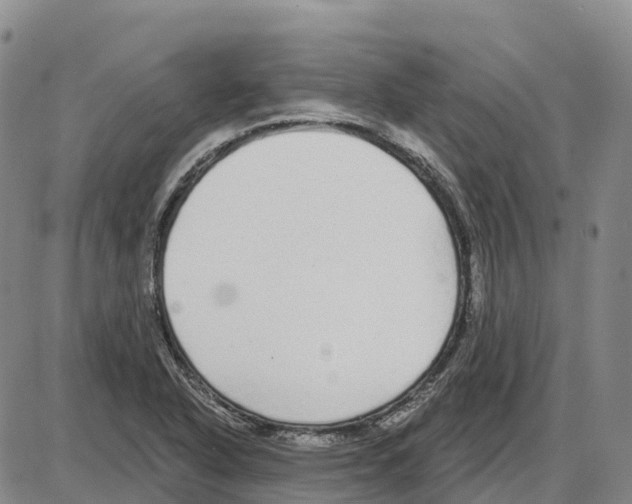 X0000085081318200704021426