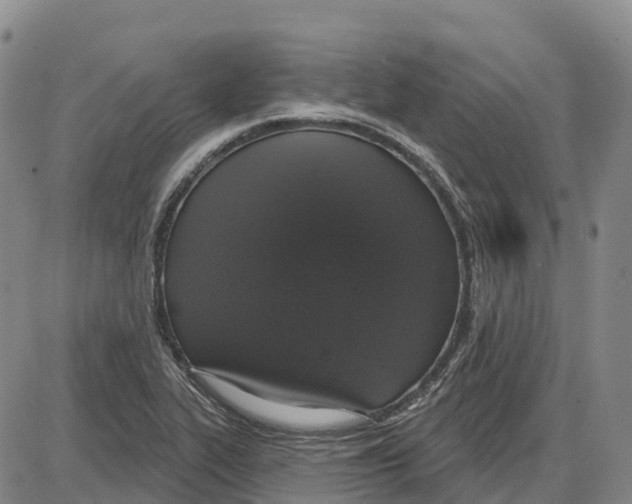 X0000085081319200704021426