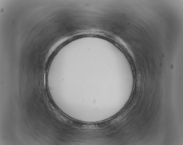 X0000085081320200704021426