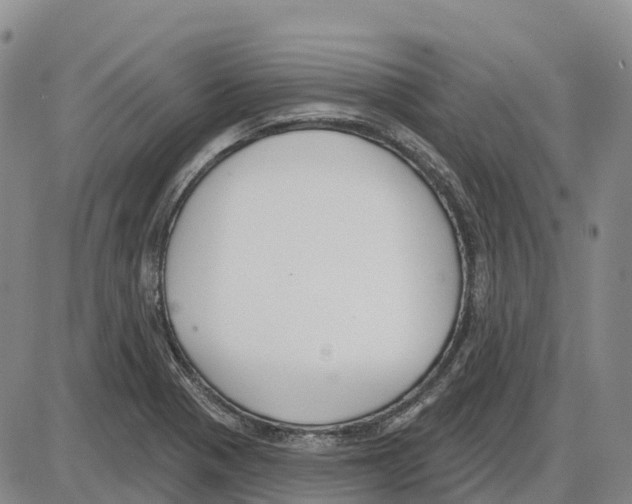 X0000085081321200704021426