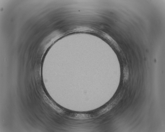 X0000085081322200704021426