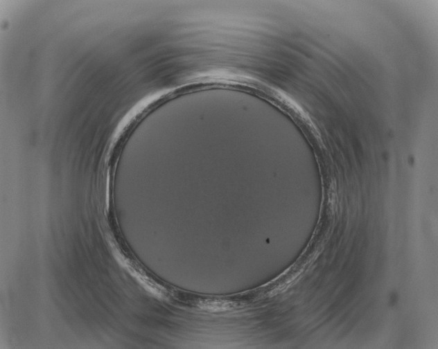 X0000085081323200704021426