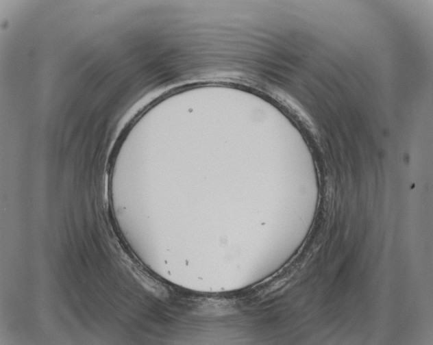 X0000085081324200704021427