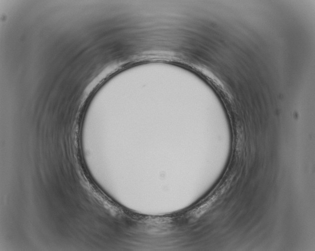 X0000085081325200704021427