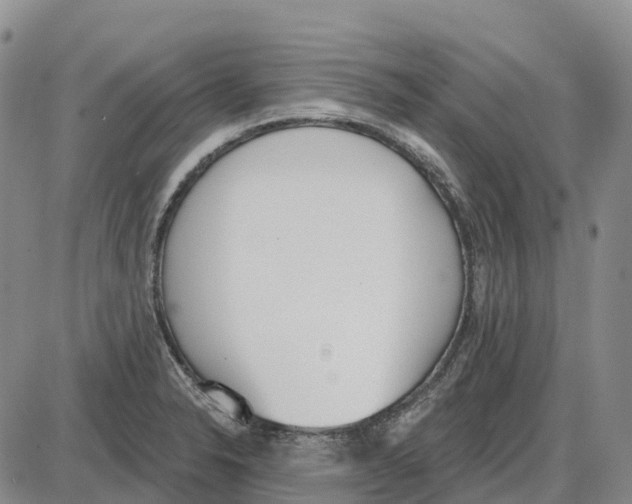 X0000085081326200704021427