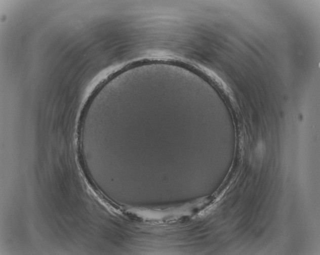 X0000085081327200704021427