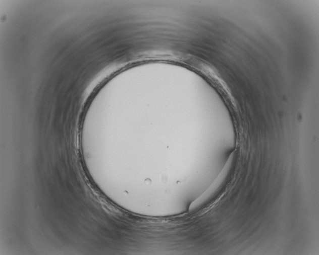 X0000085081328200704021427