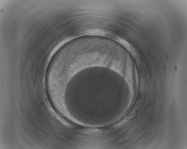 X0000085081331200704021427