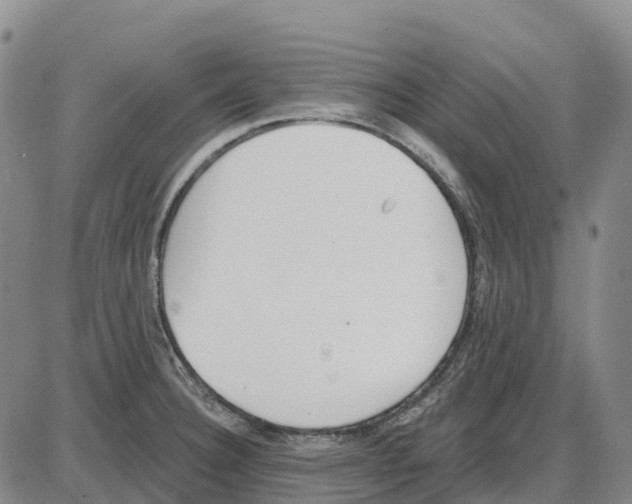 X0000085081332200704021427