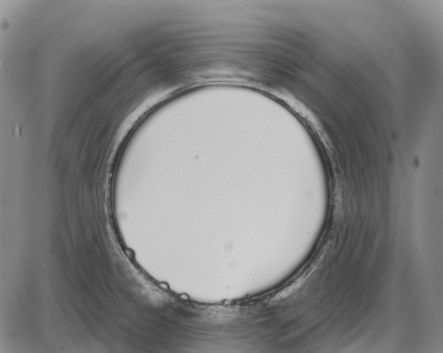 X0000085081333200704021427