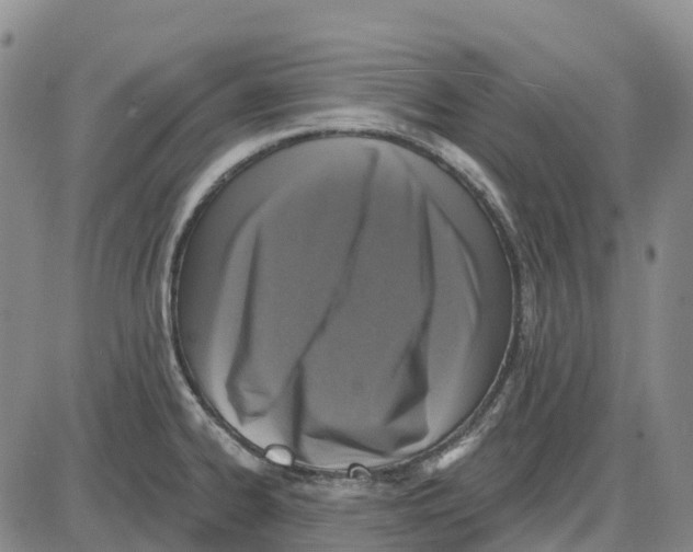 X0000085081334200704021427