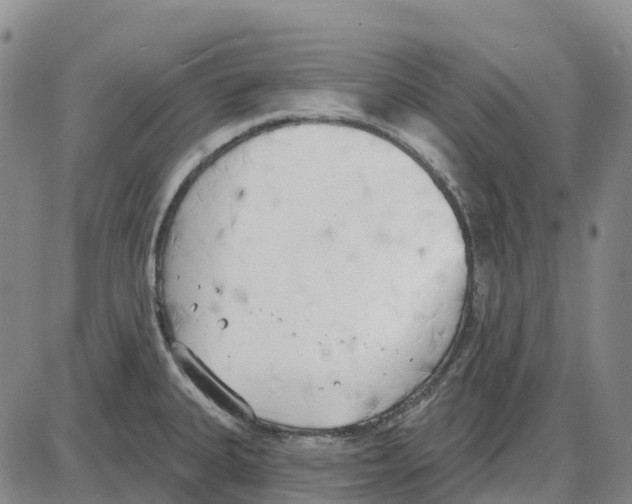 X0000085081335200704021427