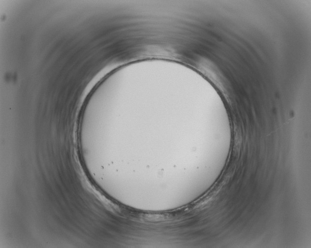 X0000085081339200704021427