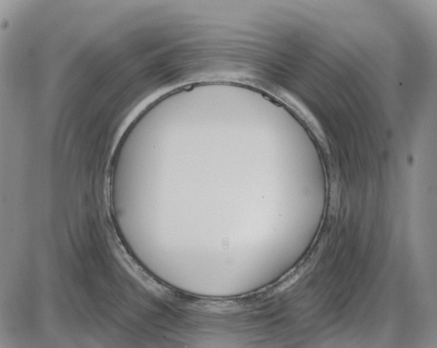 X0000085081340200704021427