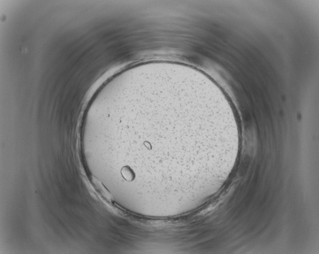 X0000085081341200704021427