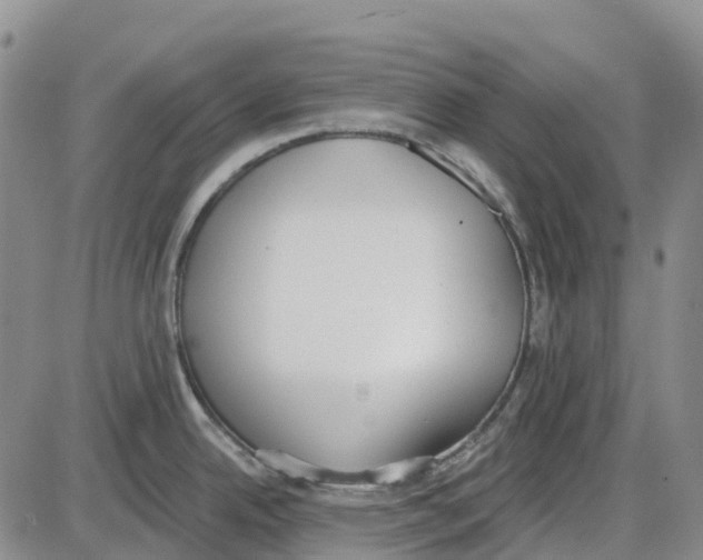 X0000085081342200704021427