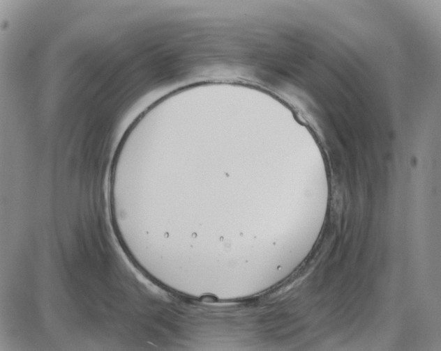 X0000085081343200704021427