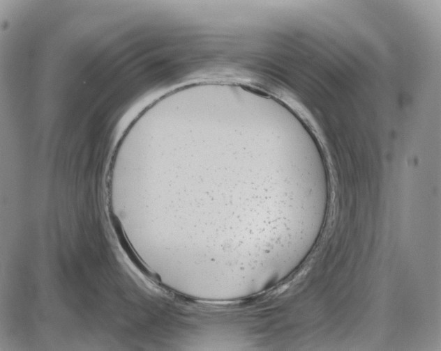 X0000085081344200704021427