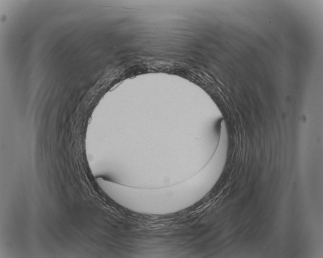 X0000085081345200704021426