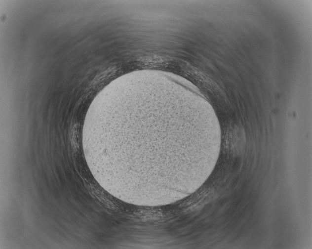 X0000085081346200704021426