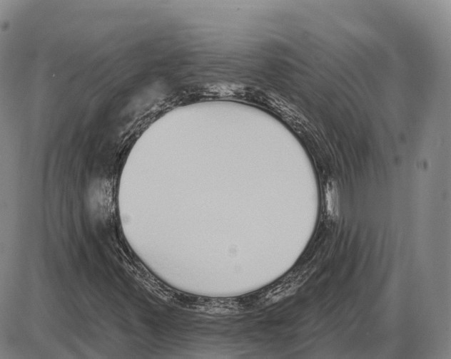 X0000085081347200704021426