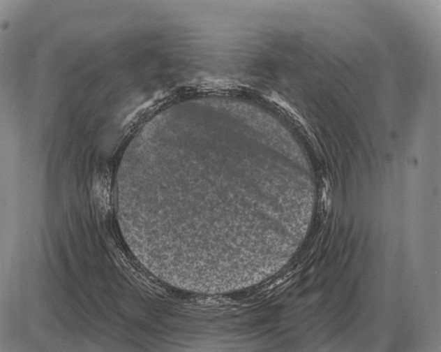 X0000085081348200704021426