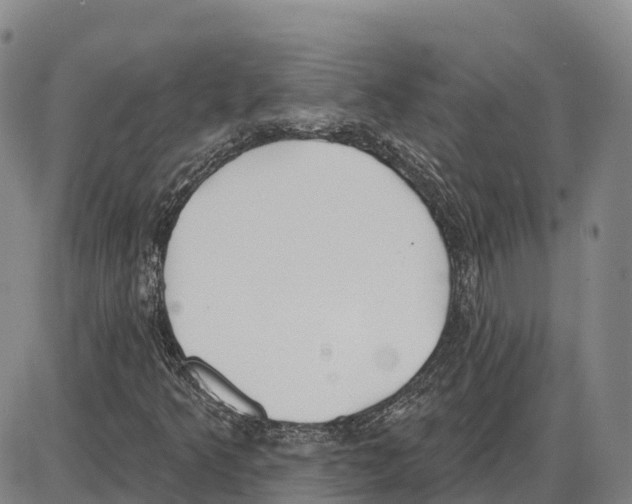 X0000085081349200704021426