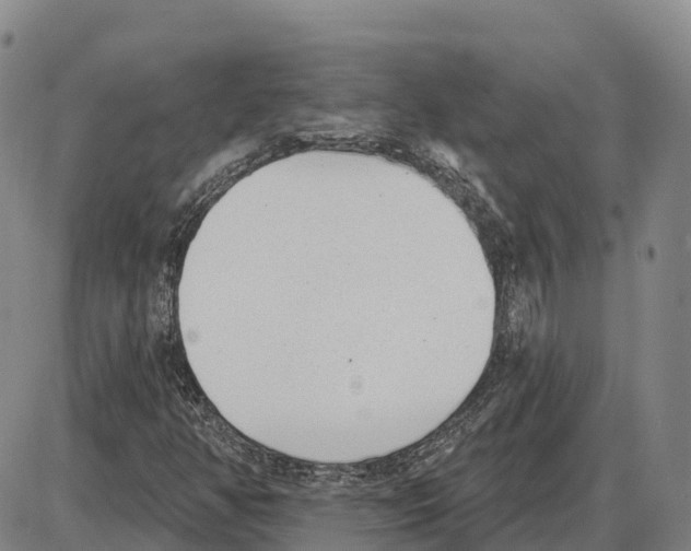 X0000085081350200704021426