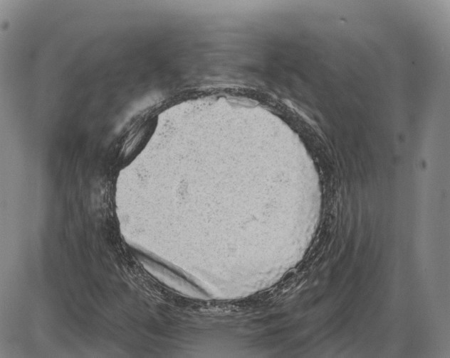 X0000085081351200704021426