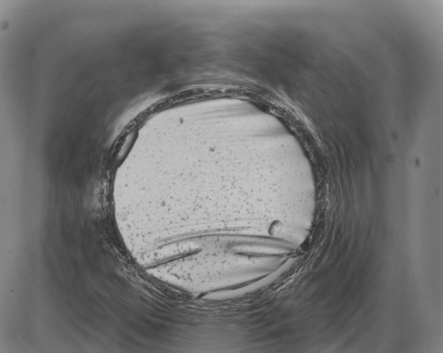 X0000085081352200704021426