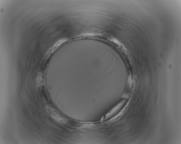 X0000085081353200704021426