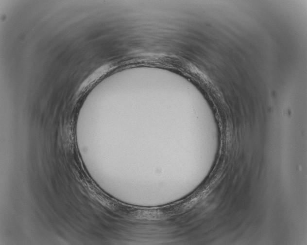 X0000085081354200704021426