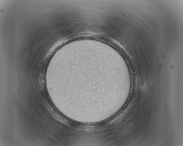 X0000085081355200704021426