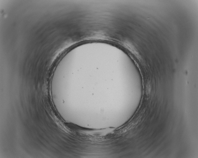 X0000085081356200704021426