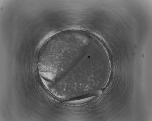 X0000085081359200704021426