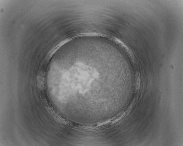 X0000085081361200704021426