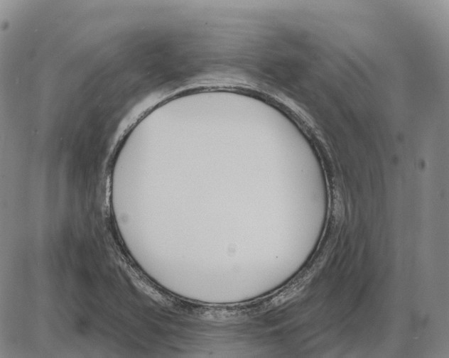 X0000085081366200704021426